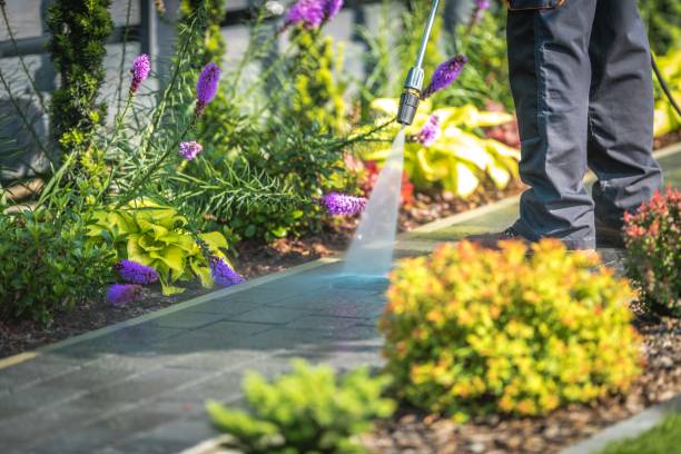 Best Restaurant Pressure Washing  in North Salt Lake, UT